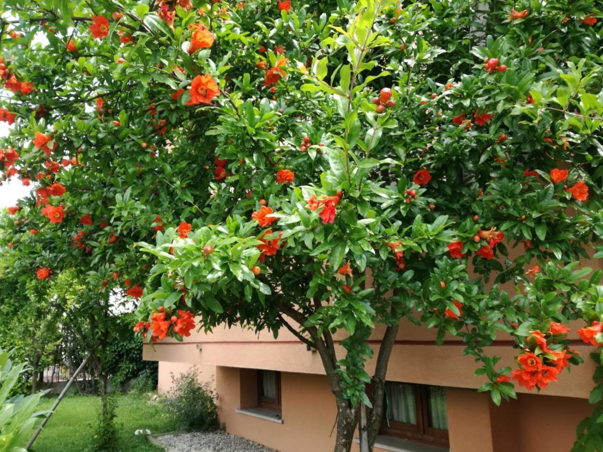 Casa Vacanze - Sportholiday House Segusino-Valdobbiadene Sequsino Екстериор снимка